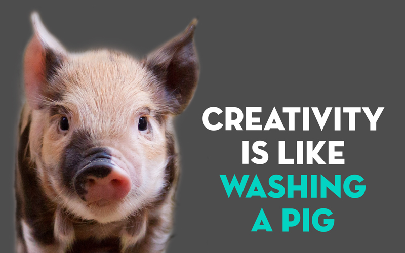 Creativity is like washing a pig